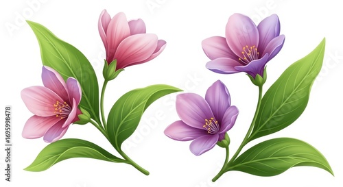 Watercolor Flowers Illustration Set - Purple and Pink Floral Elements