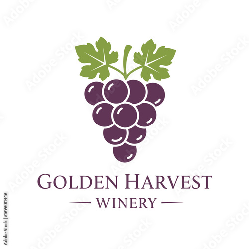 Golden harvest winery leaf  agriculture, logo design illustration