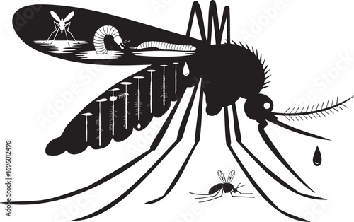 Black and white illustration depicting the life cycle of a mosquito on its wing art