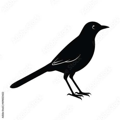 bird on a branch  vector on transparent background