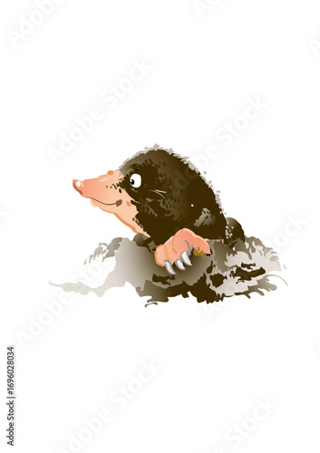 Mole sticks its head up a molehill