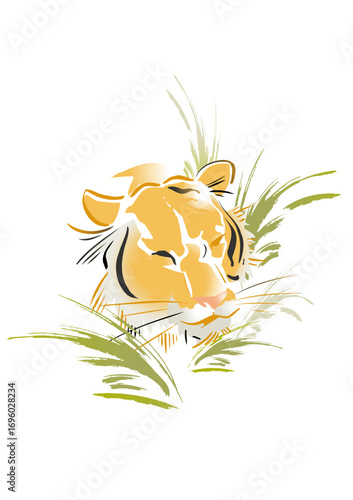Head of tiger sticking out of the bush