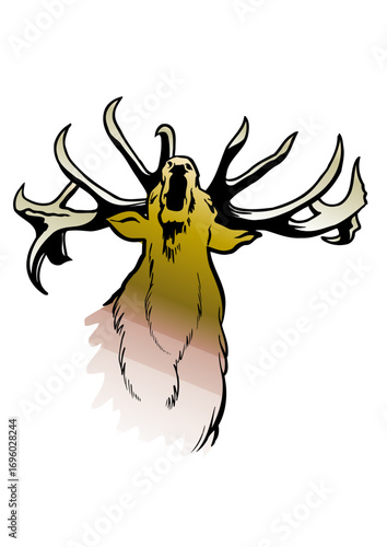 Red deer roaring in rut
