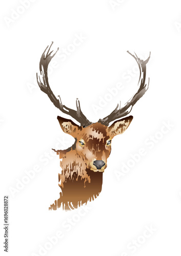red deer with large, beautiful antlers