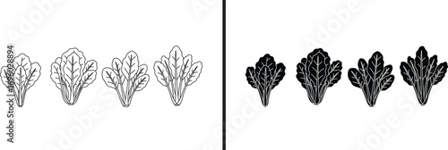 Artistic Foliage Sketches: A set of hand-drawn botanical illustrations, featuring detailed leaves, each stroke capturing the delicate textures and forms of the plant in monochrome.