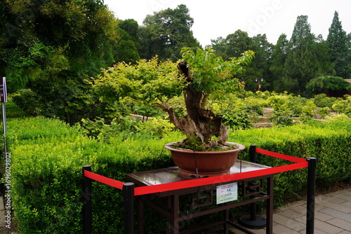 China - The Forbidden City (Beijing)