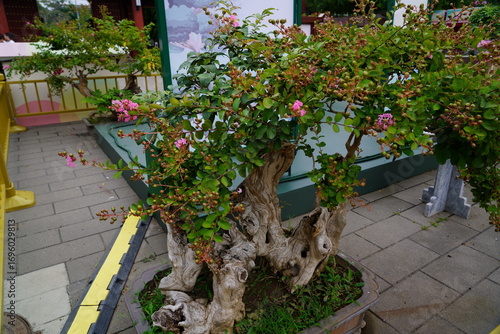 China - The Forbidden City (Beijing)