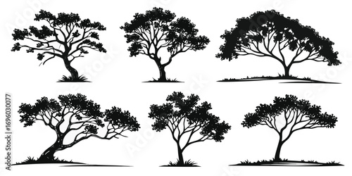 desert-oak-icons-set---8-minimalist-icons---black-