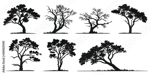 Diverse Black Silhouette Tree Collection.