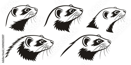 Ferret Head Vector Illustrations Set.