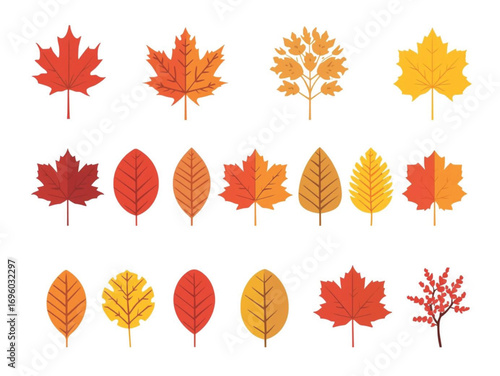 set of autumn leaves
