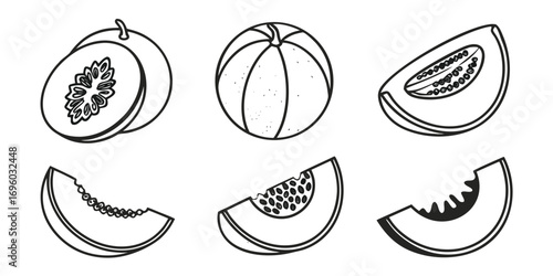 Handdrawn Melon Fruit Collection Illustration.