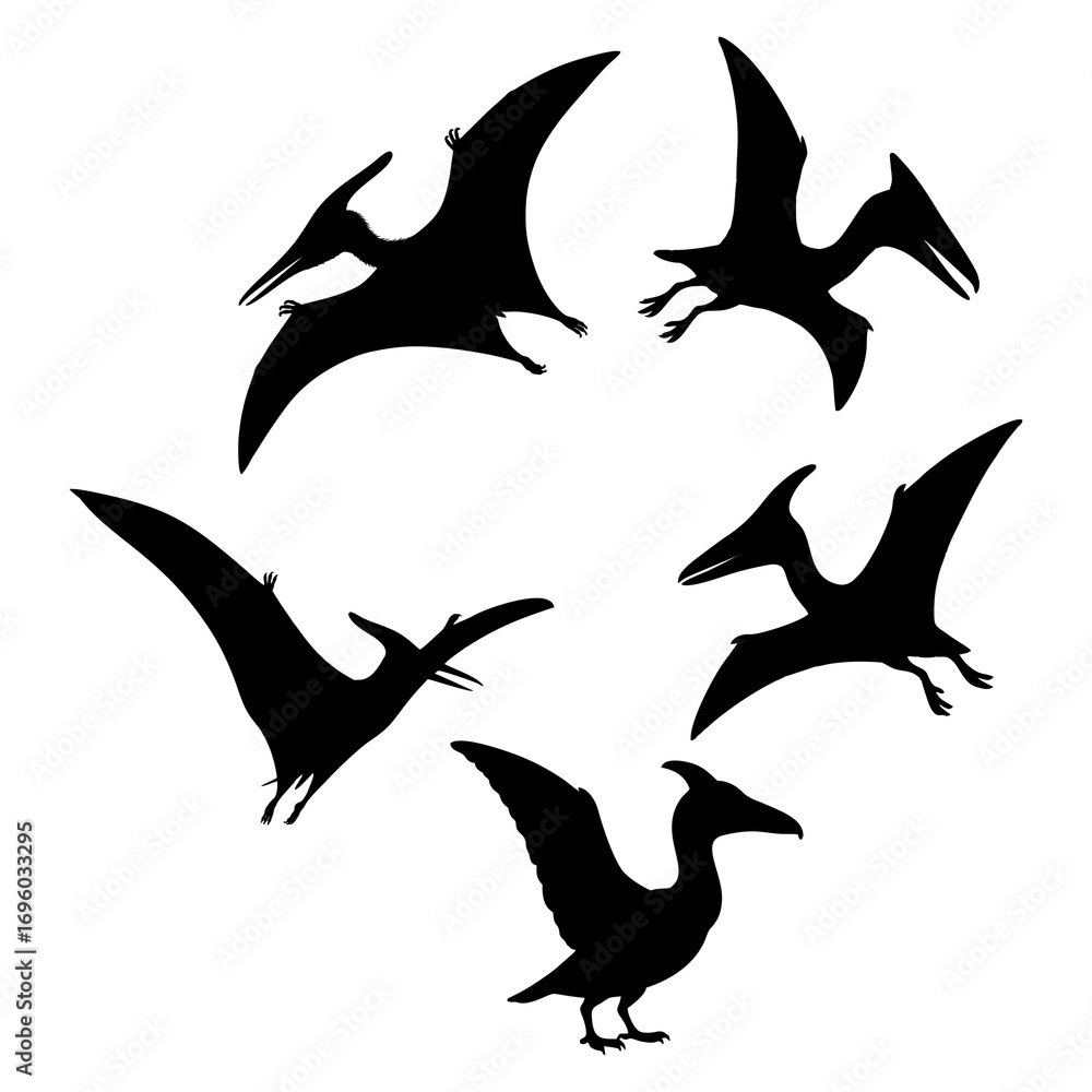 Obraz premium Silhouette of a Pterodactyl in Flight