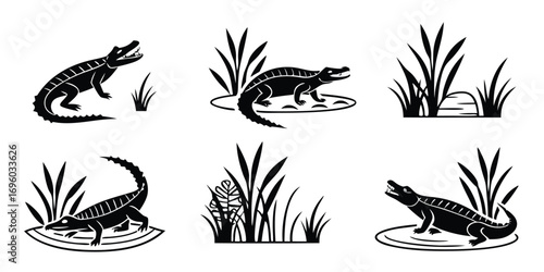 caiman-in-swamp---icons-set---6-minimalist-icons--