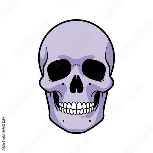 Cartoon Skull with Lavender Hue and Detailed Teeth Frontal View.
