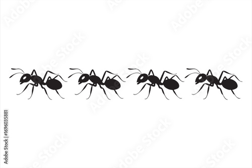 Minimal Black Ant Icons for Graphic and Web Design