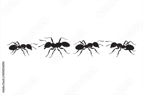 Insect Ant Icon Collection for Nature and Biology Design