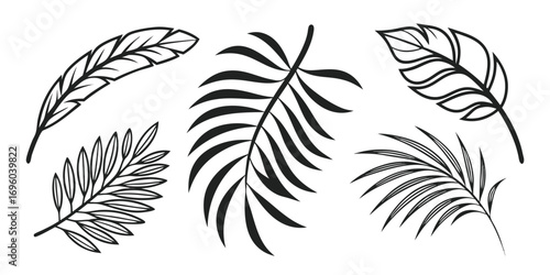 coastal-minimal-palm-leaf-icons-set---6-minimalist