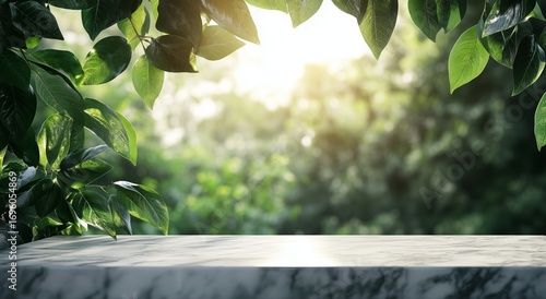 Natural Sunlight Shines on Marble Table Surrounded by Lush Greenery in a Sere...
