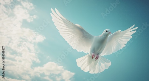 White Dove Soaring in a Bright Blue Sky With Fluffy Clouds During Daylight.