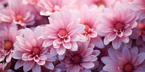 Abstract floral background with pink flowers 