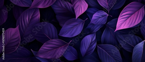 Detailed Close-Up of Vibrant Purple and Violet Leaves on a Dark Background