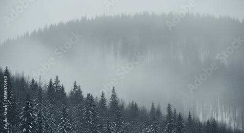 Snow falling gently over a dense, misty winter forest on a hill