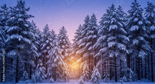 Snowcovered pine forest at dusk with a warm glow from within