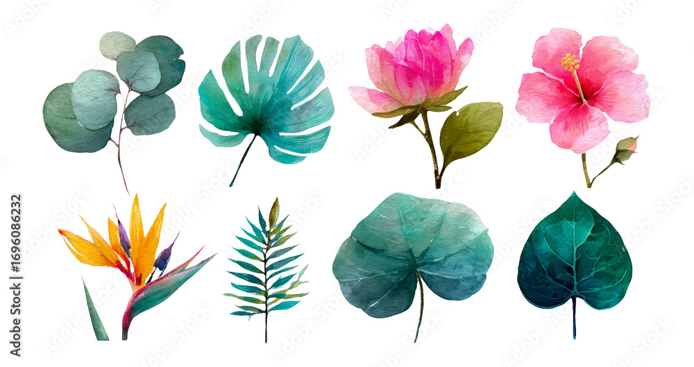 Fototapeta premium Vibrant Watercolor Flower and Leaf Collection with Isolated Transparent Background