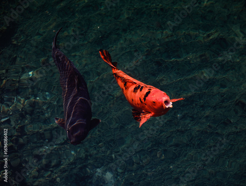 The moment the fish grabs the bait