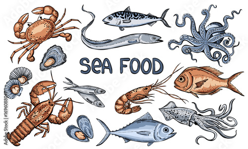 Hand drawn seafood vector illustration.  Sea bass, tuna, lobster, crab, oyster, mussel, squid and octopus. Sea food retro art.