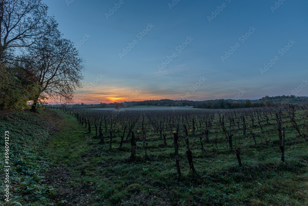 Fototapeta premium tramonto su un ambiente naturale di campagna nell'Italia nord-orientale, in autunno, con cielo sereno