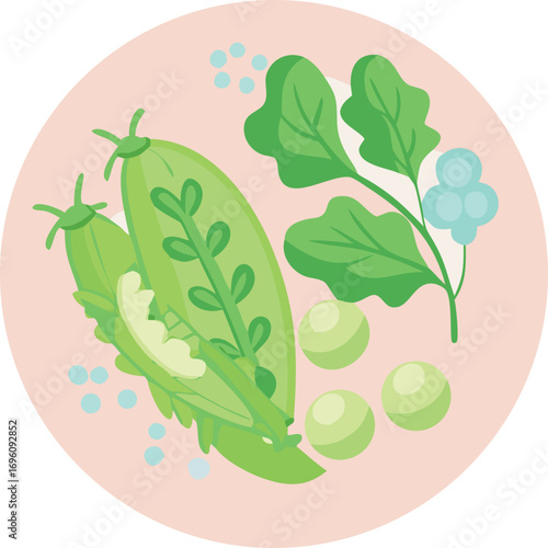 Soft pastel color icon of peas, spinach, and cilantro blended in circular flat art style.
