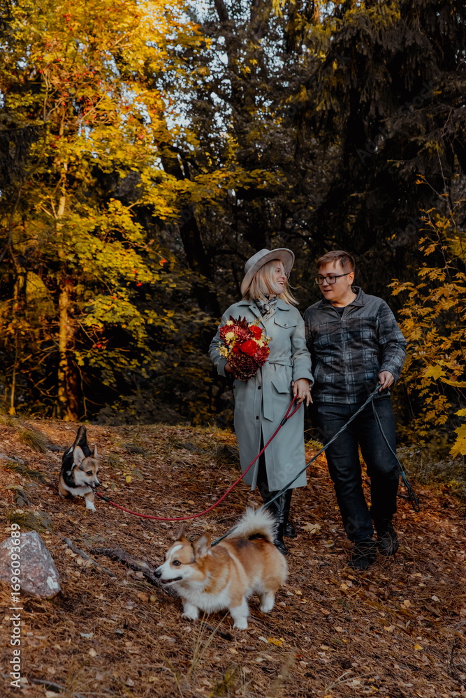 custom made wallpaper toronto digitalA man and a woman are leisurely walking two dogs in a beautiful park