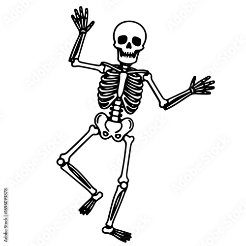vector illustration of a skeleton svg vector flat