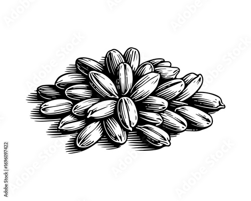 Cereal vector engraving style illustration