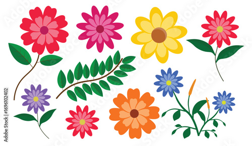 Colorful Flowers and Green Leaves Collection Isolated on White Background