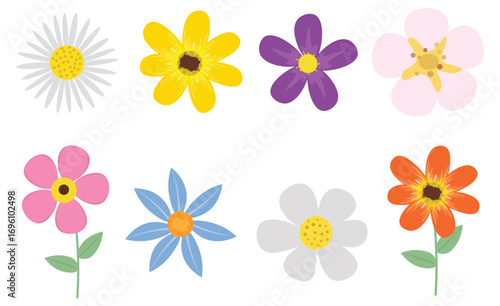 Colorful Mixed Flower Collection with Various Petal Shapes Isolated on White
