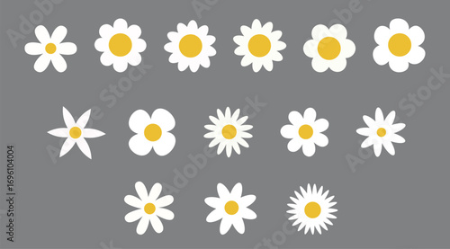 Daisy flower vector set white petals yellow center isolated on gray background