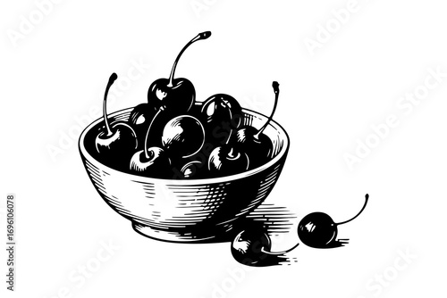 Cherry vector engraving style illustration