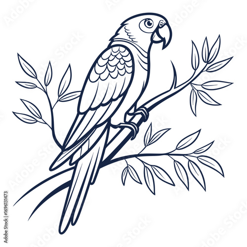 Illustrative depiction of a potato and its sliced components