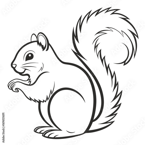 Line Art Illustration of a Squirrel with Bushy Tail for Coloring Books