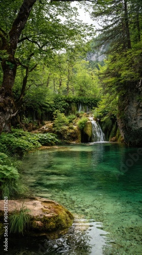 Tranquil forest pool