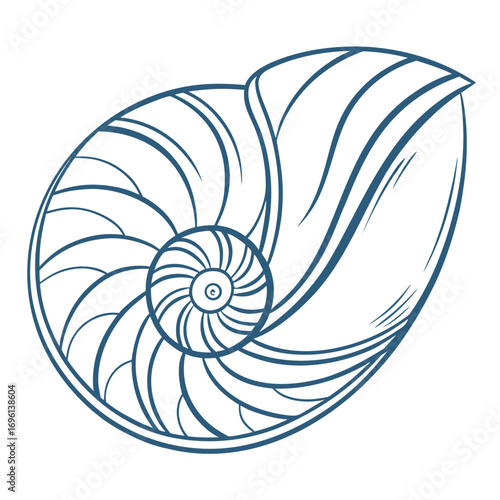 Illustration of a nautilus shell, showcasing its intricate spiral pattern and design