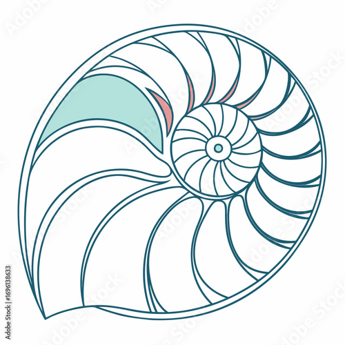 Illustration of a nautilus shell with a spiral pattern, a marine invertebrate