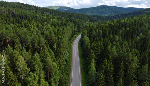 An aerial view of a winding asphalt road cutting through a dense, lush green forest with rolling hills in the background.
