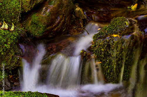 waterfall in the forest