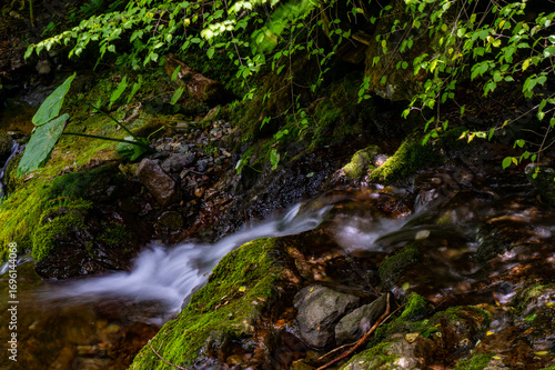 waterfall in the forest