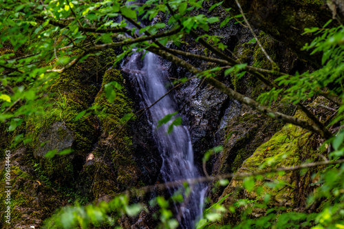 waterfall in the forest