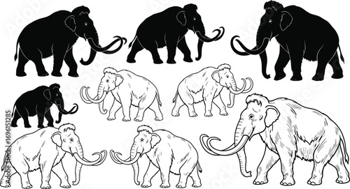 Woolly Mammoth Vector Set with Silhouette and Line Art Styles for Paleontology, Education, Graphic Design, and Historical Illustration